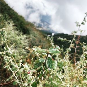 Meet your Posher, Trent